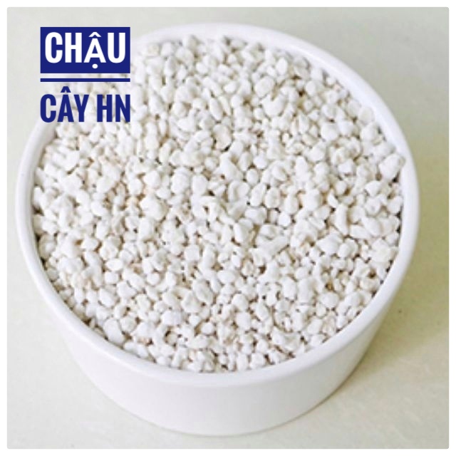 Đá perlite đá trân châu  trộn đất trồng sen đá giá thể trồng lan làm tơi xốp chậu trồng cây sen đá xương rồng