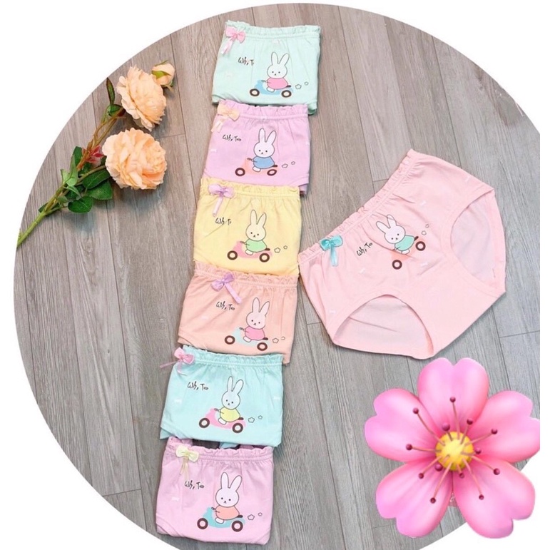 Set 10 Quần lót bé gái chất cotton xịn, quần chíp trẻ em