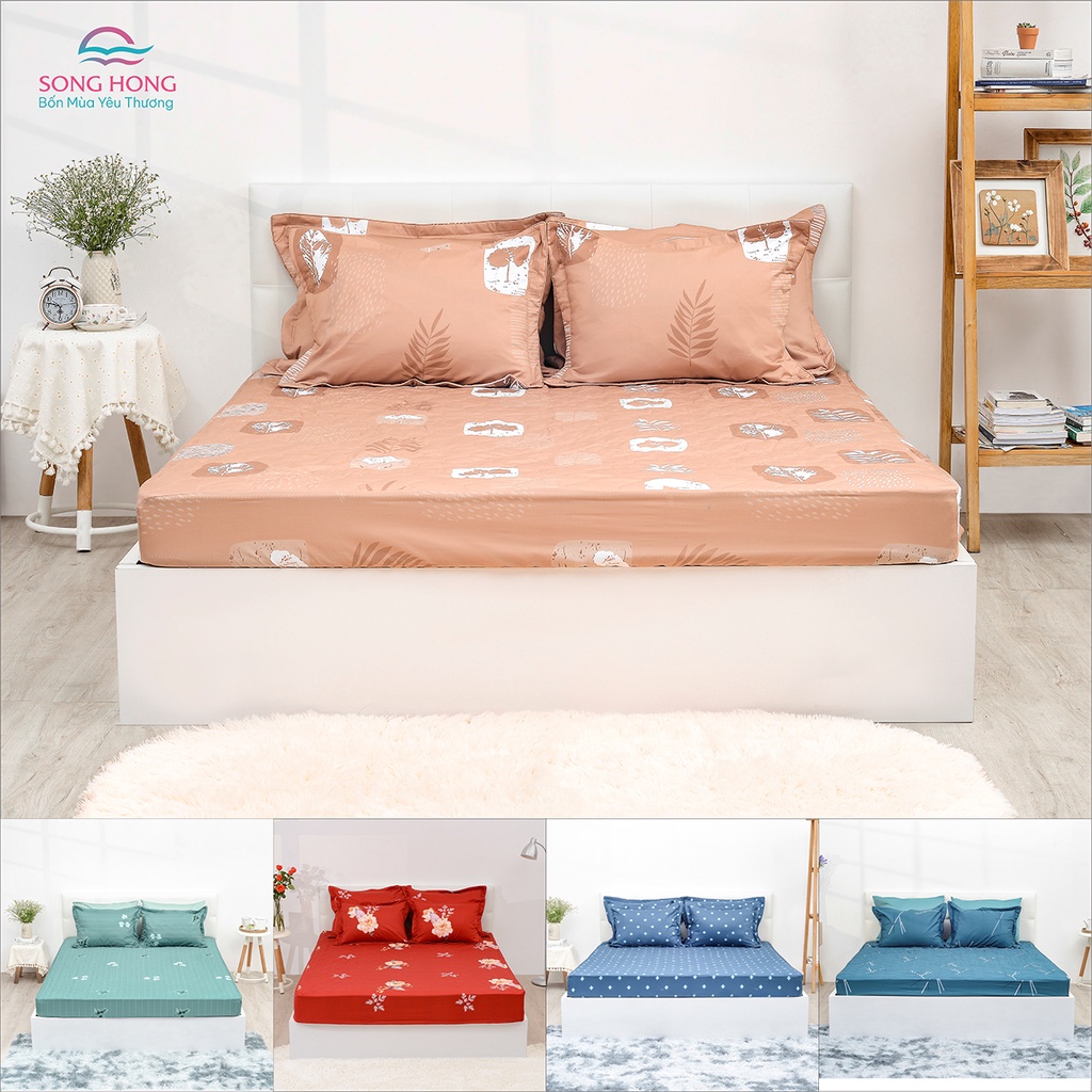 Bộ ga chun (có chần) 2m*2.2m - Chất cotton - Sông Hồng chính hãng.