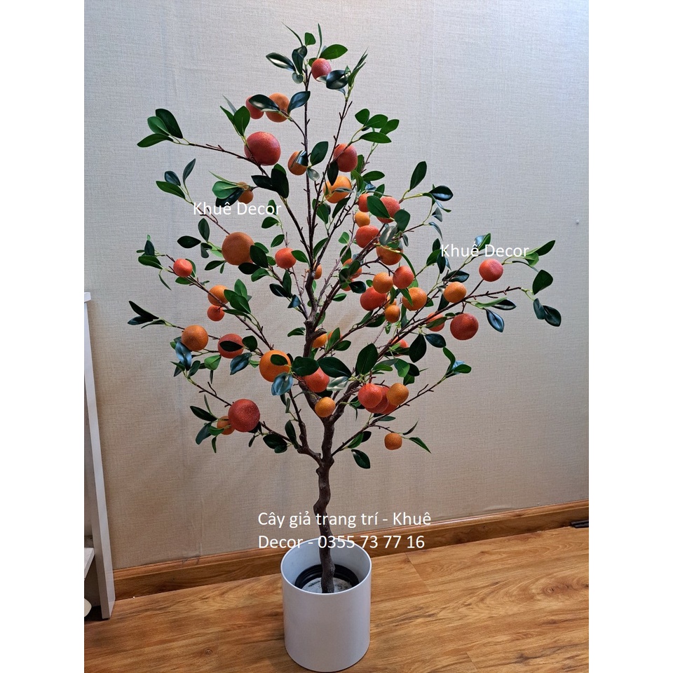 Cây Quýt Đường - Cây Giả - Vỏ Quả Sần - giống thật 99% - Hàng cao cấp