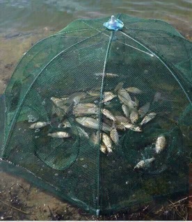 KÈM MỒI LƯỚI BÁT QUÁI ĐÁNH TÔM CÁ 