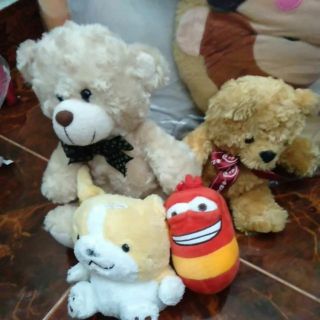 Gấu bông đẹp giá rẻ