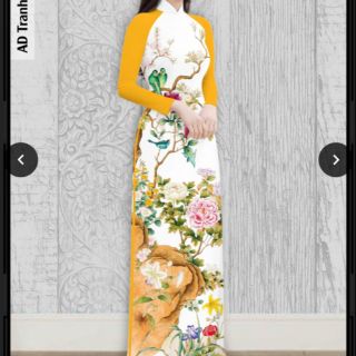 Áo dài in 3d