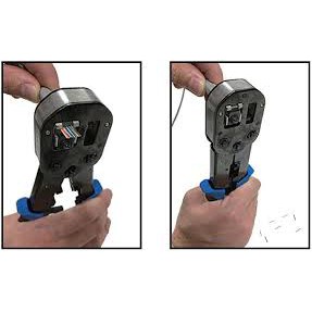 Hạt mạng Dintek Xuyên thấu Cao Cấp chính hãng