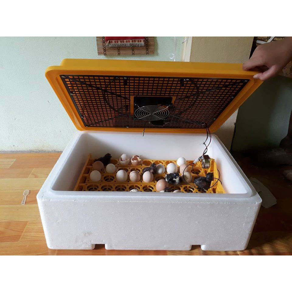 Máy Ấp Trứng Giá Tốt - Lắp Đặt Sẵn - Đảo Tự Động - Mua về là sử dụng được ngay