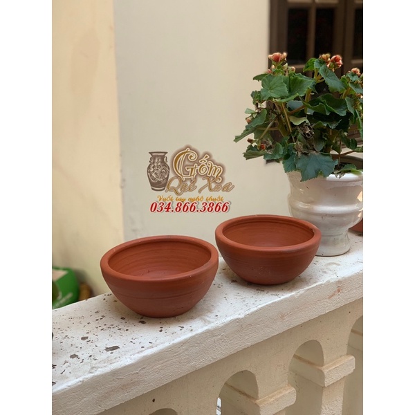 Chậu trồng sen nước mini ,bonsai để bàn 21cm,trang trí văn phòng,góc học tập