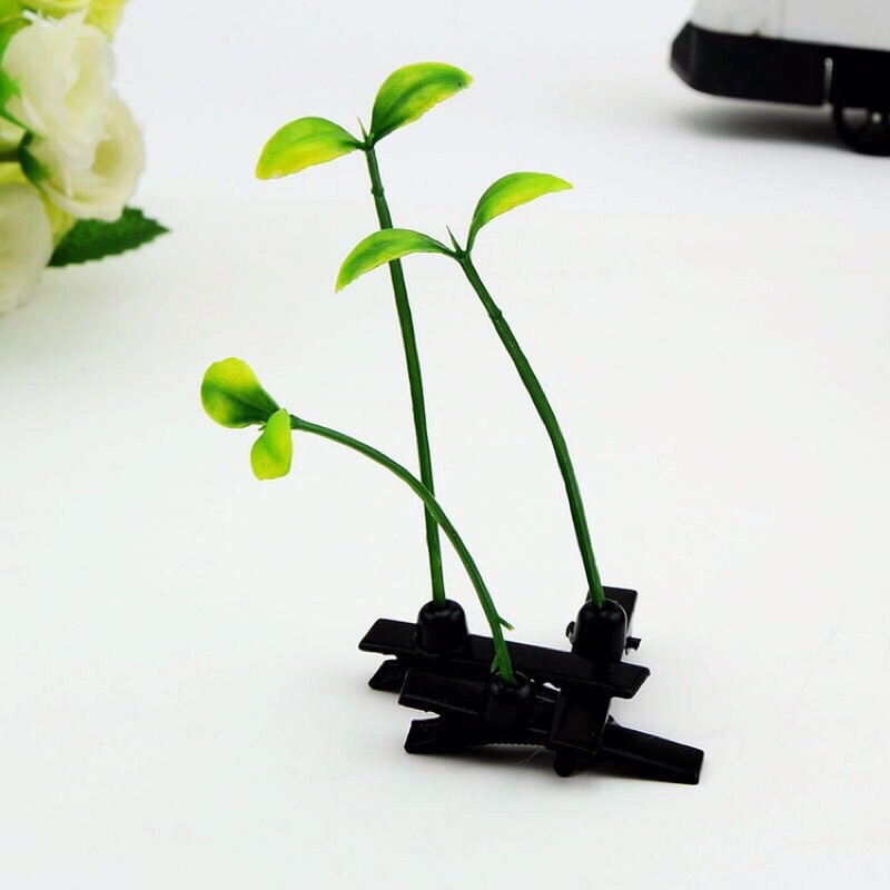 Kẹp tóc mầm cây