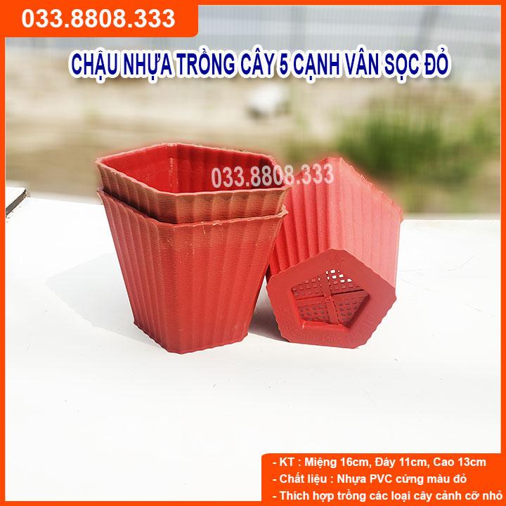 COMBO 10 CHẬU NHỰA 5 CẠNH VÂN SỌC ĐỎ - CHẤT LIỆU CAO CẤP