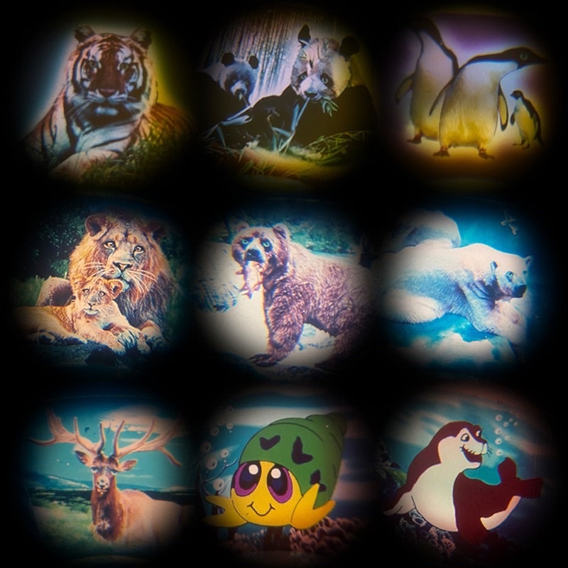 [ Rẻ Vô Địch ] Máy ảnh mini hình thế giới động vật cho bé sống ảo.