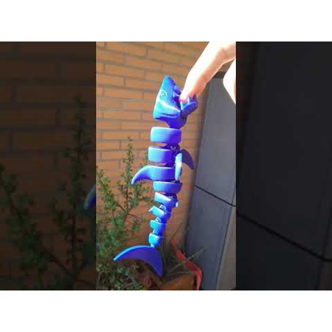 Cá mập Flexi shark