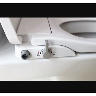 Nắp rửa bồn cầu Inax CW-S15VN