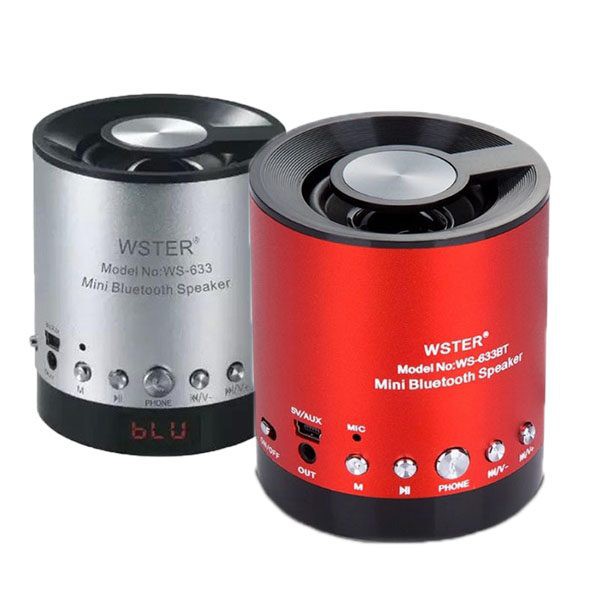 LOA THỂ THAO BLUETOOTH WS - 633