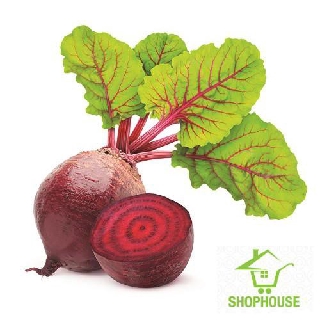 shophouse 5gr Hạt giống củ dền đỏ  SHOP HOUSE  TẾT KHUYẾN MẠI