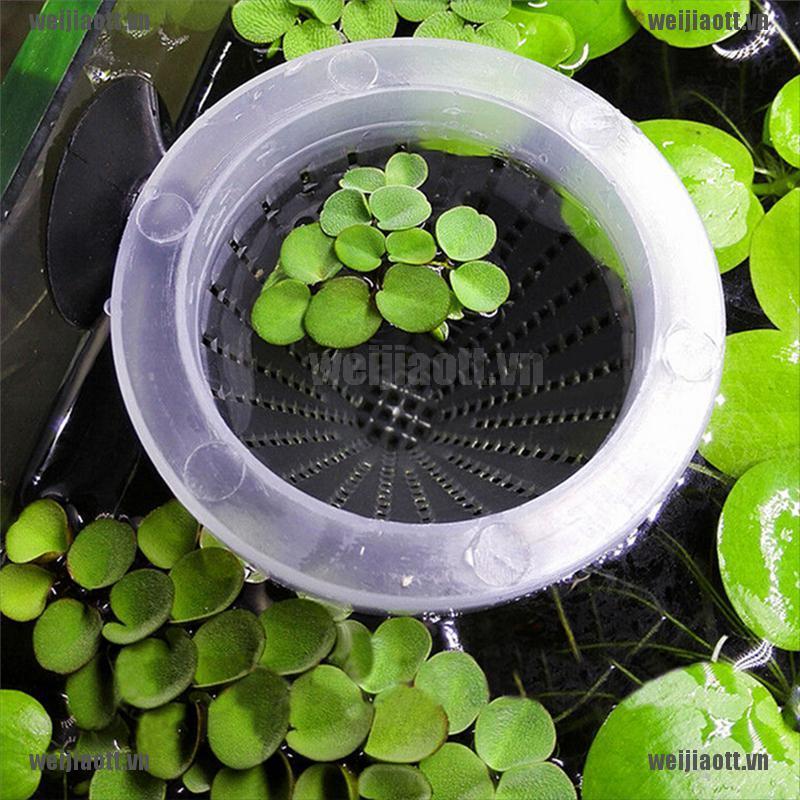 Lồng Đựng Thức Ăn Cho Cá Hình Nón