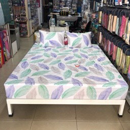 Bộ ga chun 150x190 có chần cotton Sông Hồng