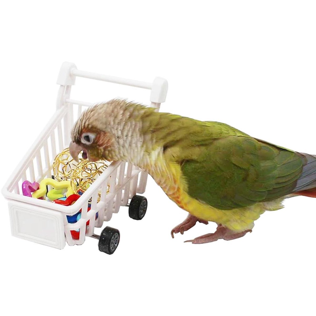 Bộ Đồ Chơi Bóng Nhai Bằng Nhựa Vui Nhộn Cho Chim Cảnh