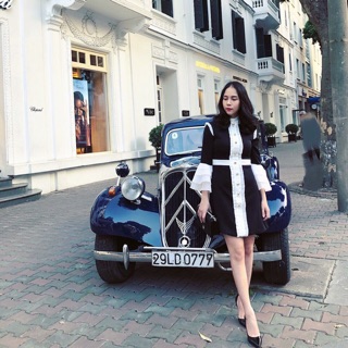 Váy tiểu thư cổ bèo cổ điển sale