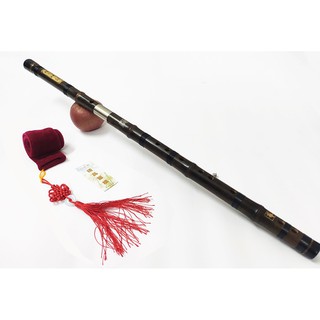 Sáo dizi trúc tím khớp kép