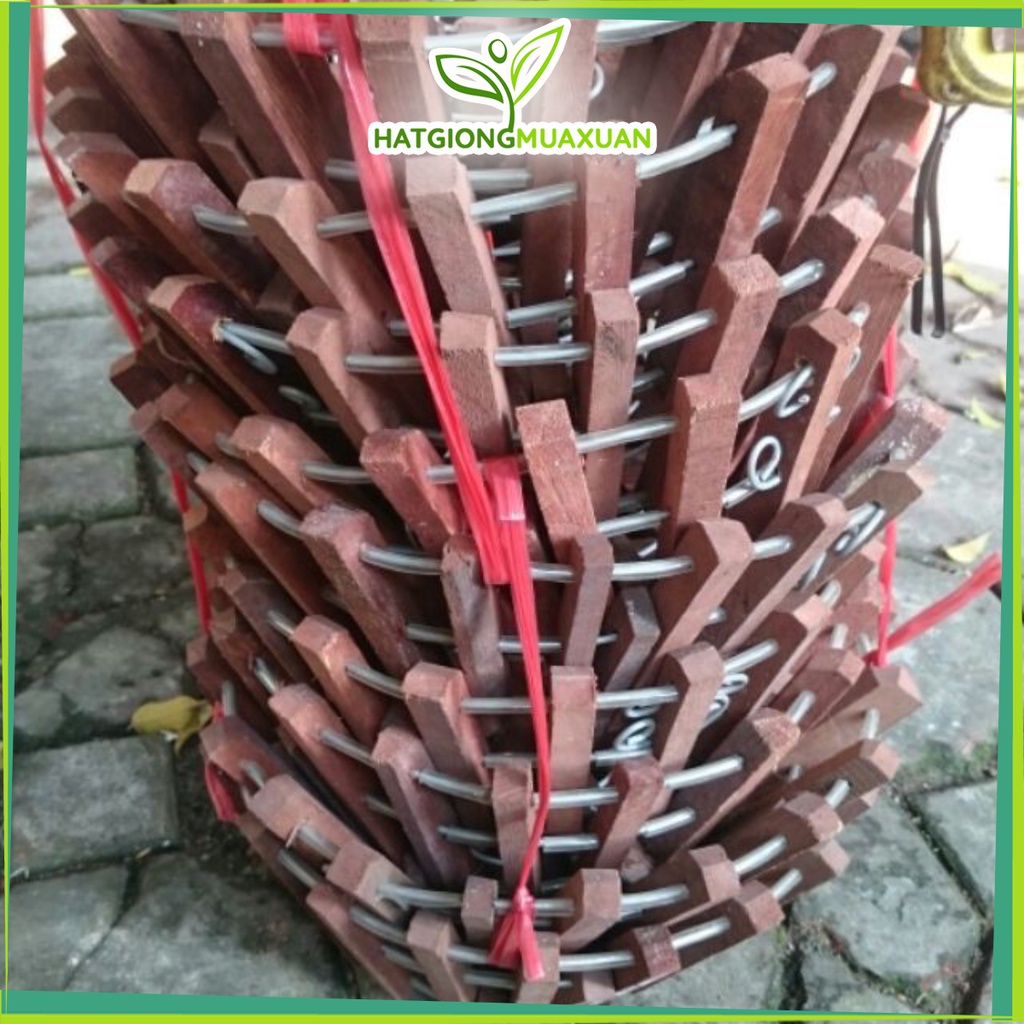 [HOT] Chậu gỗ trồng hoa lan KT 30cm 135k/3 chiếc c/lượng, hg C/ty.