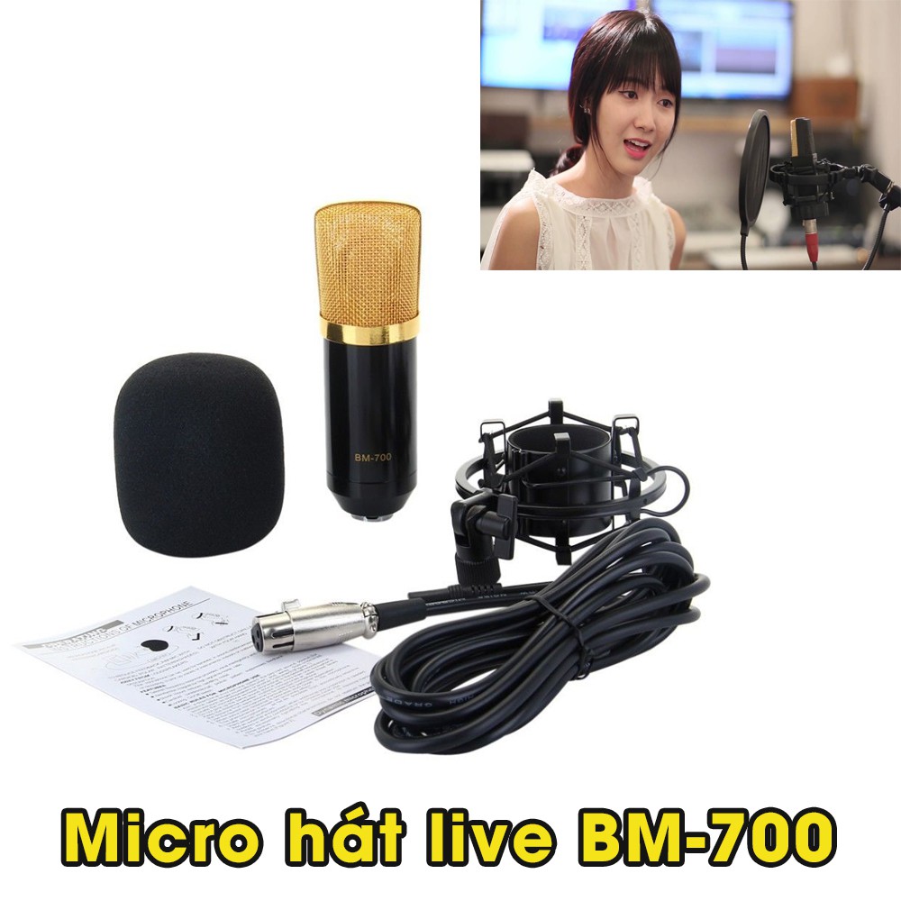 Micro Thu Âm, Hát Live BM-700 Chính Hãng
