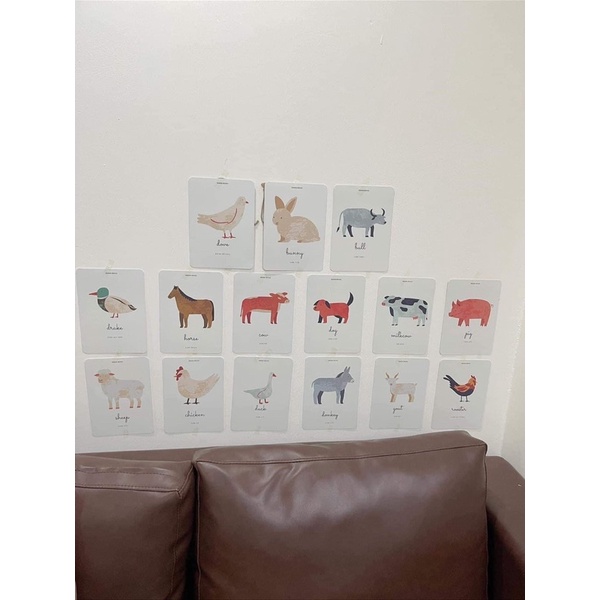 ❤Flash card ❤Thẻ học thông minh cho bé phong cách Hàn Quốc