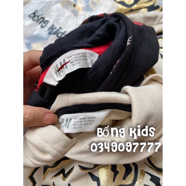 Áo Nỉ Hoodie Bé Trai In Hình HaM