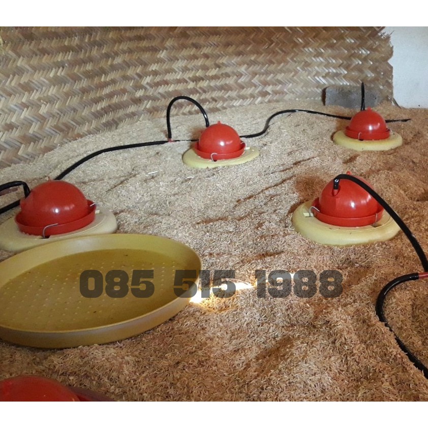 MÁNG NƯỚC TỰ ĐỘNG CHO GÀ CON CHIM CÚT