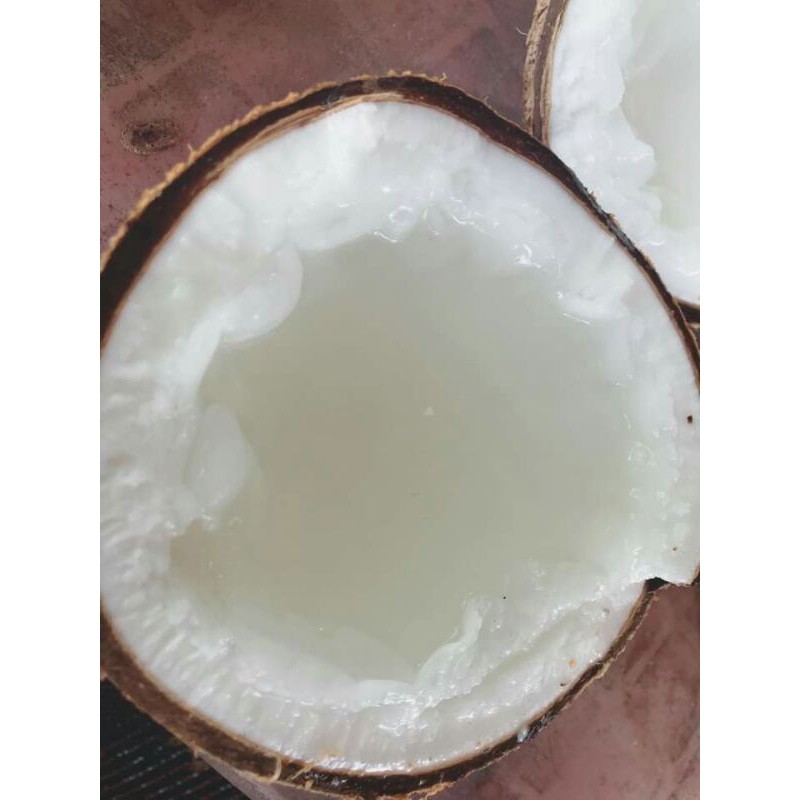 Dừa Sáp Cầu Kè  Loai 3 Sinh Tố Trên 1,3kg | BigBuy360 - bigbuy360.vn