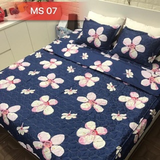 Chăn ga Cotton Poly mùa đông chần phủ,Ga gối bền đẹp