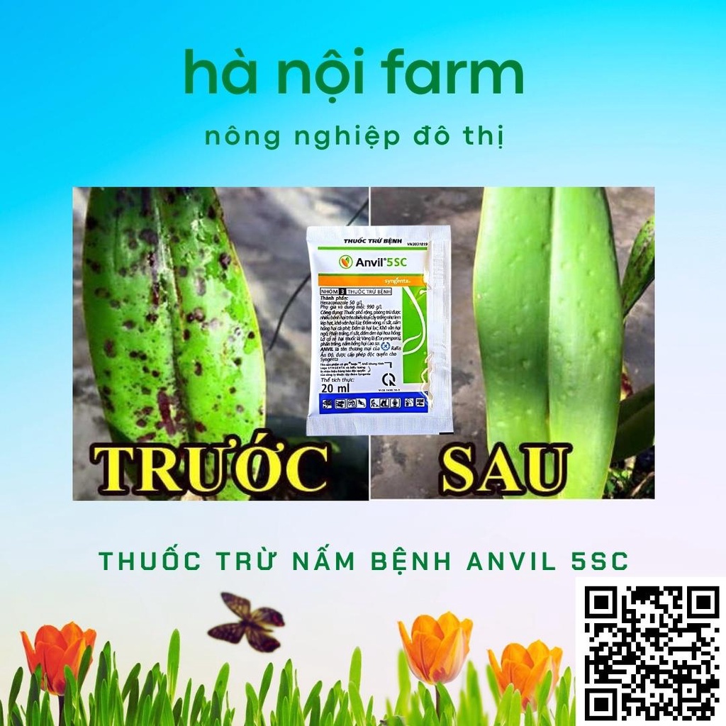 Thuốc trừ nấm bệnh hoa hồng Anvil 5SC chính hãng Syngenta -Ấn Độ. GÓI