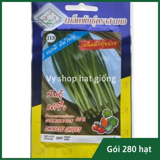 Hạt giống hẹ ăn lá Thái Lan gói 230 hạt