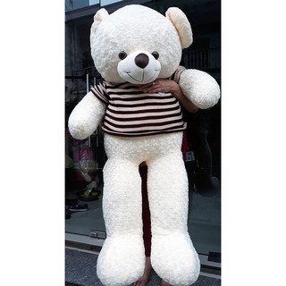 Gối ôm gấu bông Teddy các size