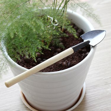 Đồ dùng làm vườn - Bộ dụng cụ trồng cây cảnh, sen đá, xương rồng, bonsai, tiểu cảnh ba món