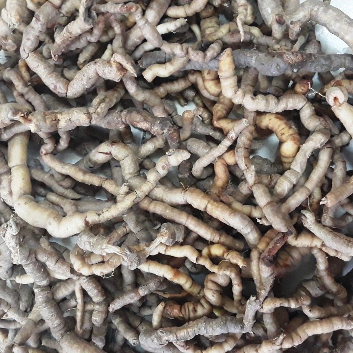 01 Kg ba kích rừng chuẩn Ba Chẽ