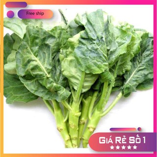 Hạt giống Cải rổ