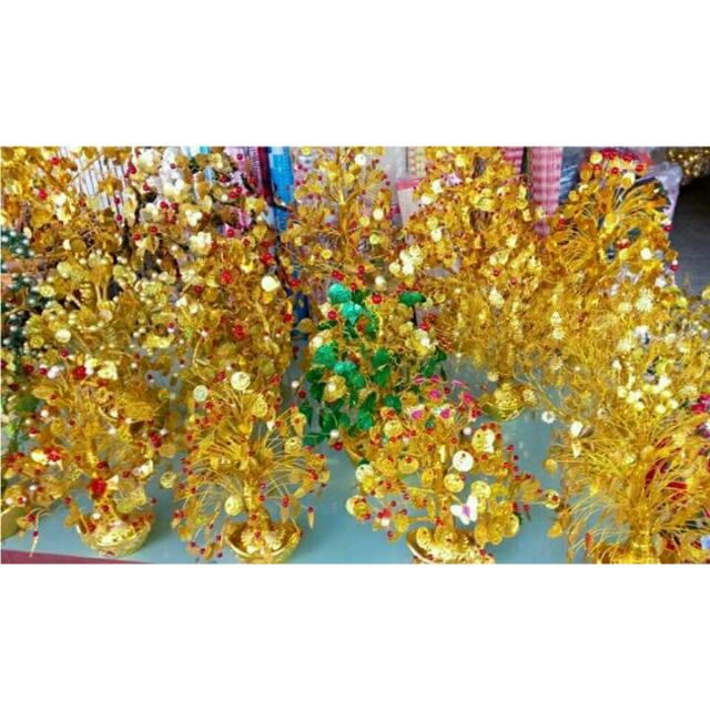 Cây cành vàng lá ngọc