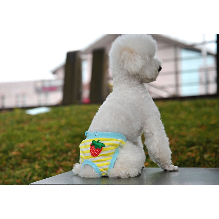 Yếm Quần Sinh Lý Cho Chó Cái/Quần Chip Chó Mèo Thú Cưng Ngày Rụng Dâu