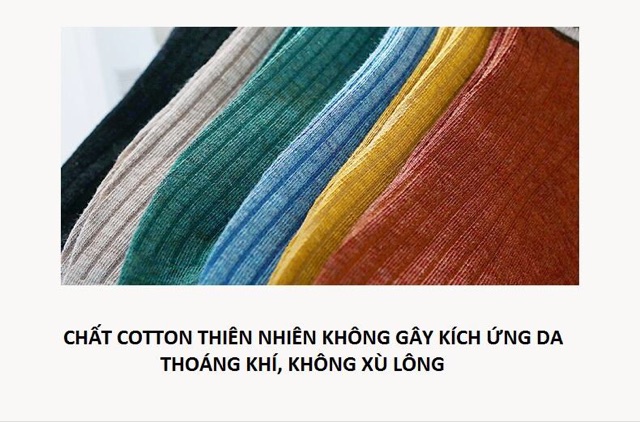 Tất nữ (vớ nữ) cotton cao cấp kháng khuẩn hàng nhập