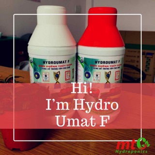 Dinh Dưỡng Thủy Canh TRỒNG CÂY ĂN QUẢ Hidro Umat F