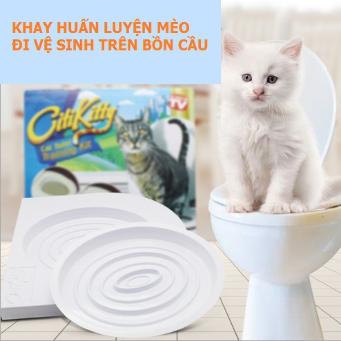 Doremiu- Nắp bồn cầu Citicity Tặng 1 gói Catnip- Bộ dạy mèo đi vệ sinh bồn cầu đúng chỗ (có hộp giấy)