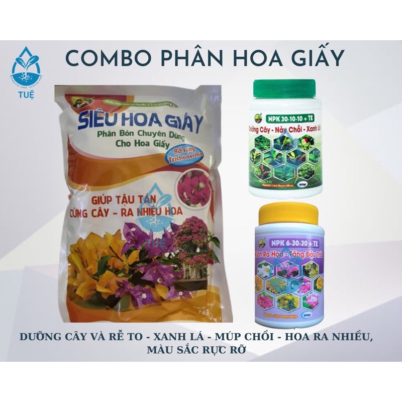Phân hoa giấy, kích hoa, bật chồi (giấy,6-30, 30-10) TOTTs fertilizer