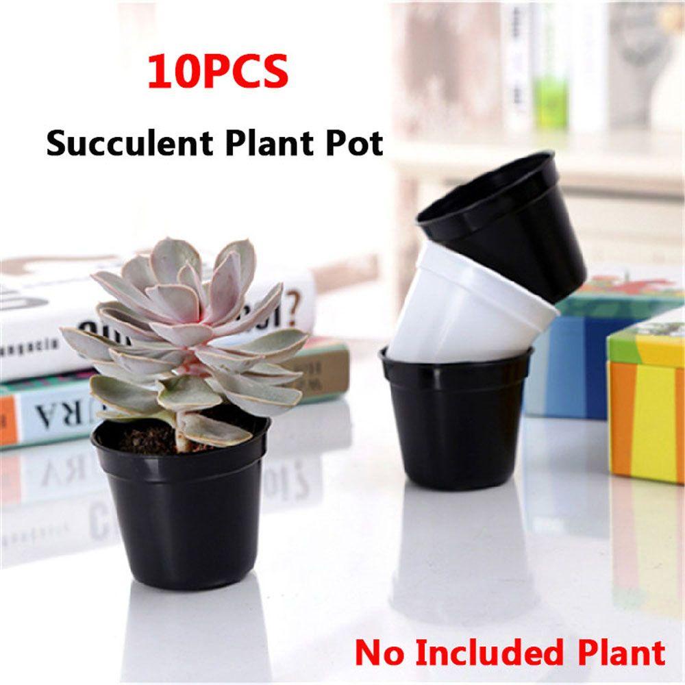Set 10 Chậu Nhựa Trồng Cây Tiện Lợi