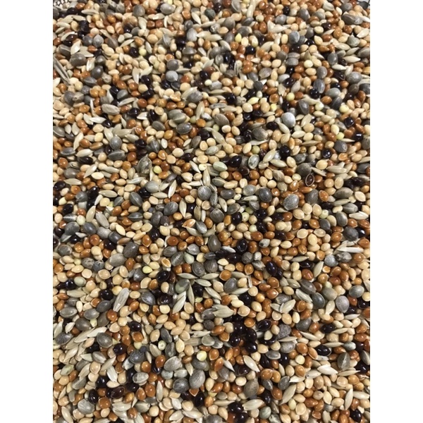 Hạt Cỏ 5 Màu 500g - 1Ký