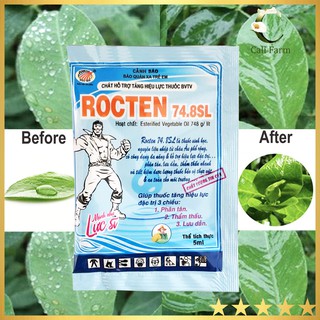 Chất bám dính lưu dẫn thấm sâu ROCTEN 5ml