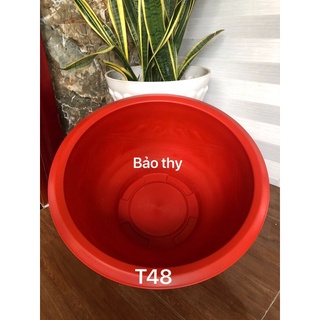 Chậu nhựa bít lổ trồng sen 2 cái T48 đỏ gạch dày dặn