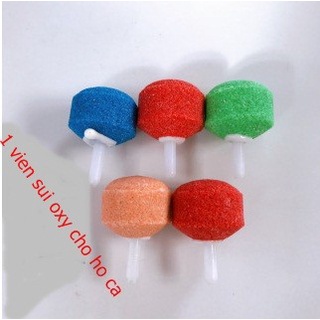 Viên sủi oxy cho hồ cá cảnh