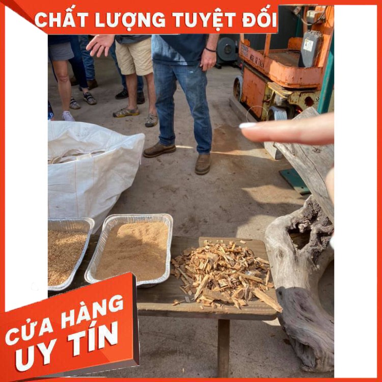 Mua giống cây đàn hương trắng