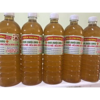 Mật ong hoa cà phê đăk lăk