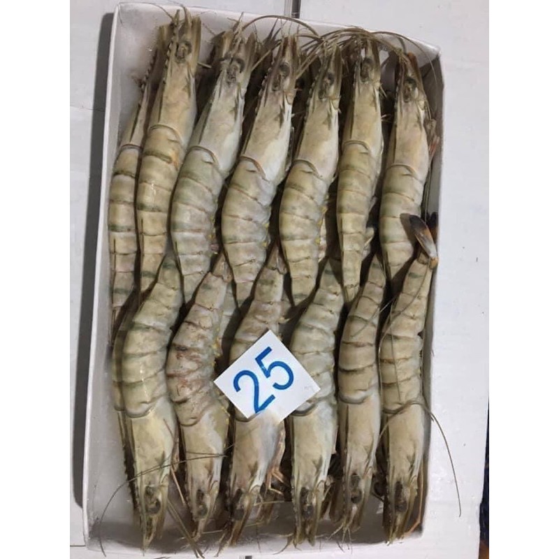 Tôm sú siêu to size 18 con 💥FREE SHIP💥 1 hộp ăn lẩu , nướng ngon ngọt