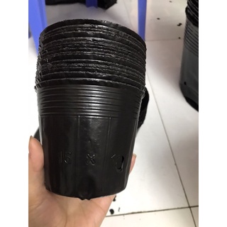 Bầu ươm cây 15*13(270 cái/kg)